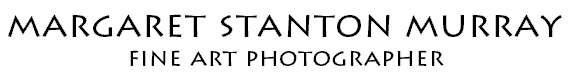 banner, Margaret Stanton Murray, Fine Art Photographer
