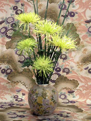 Green Spider Mums