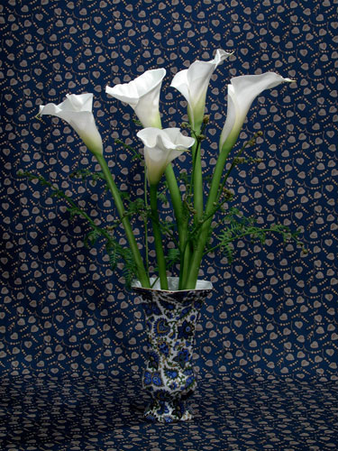 Reaching Lilies