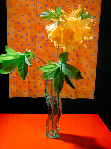 Yellow Dancer