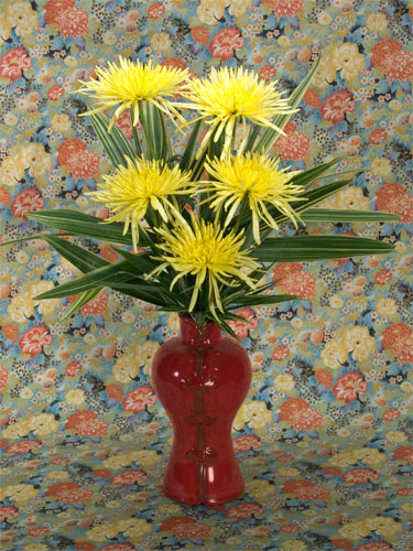 Yellow Spider Mums