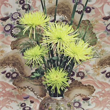 Green Spider Mums