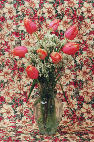 Orange Tulips