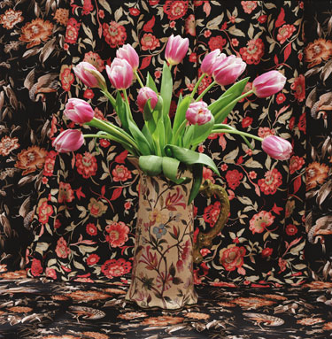 Purple Tulips