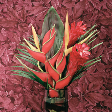 Tropical Flowers