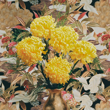 Yellow Football Mums