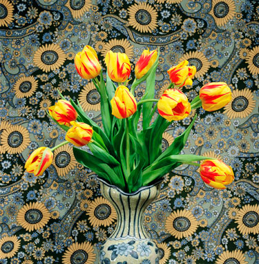 Yellow Tulips